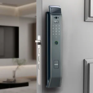 Lezn Lock Electricity i15 Cat eye - Gray - Image 1